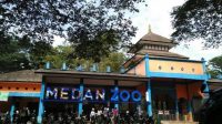 Ratusan Satwa Medan Zoo Terancam Kelaparan Pasca Wabah Corona