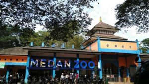 Ratusan Satwa Medan Zoo Terancam Kelaparan Pasca Wabah Corona