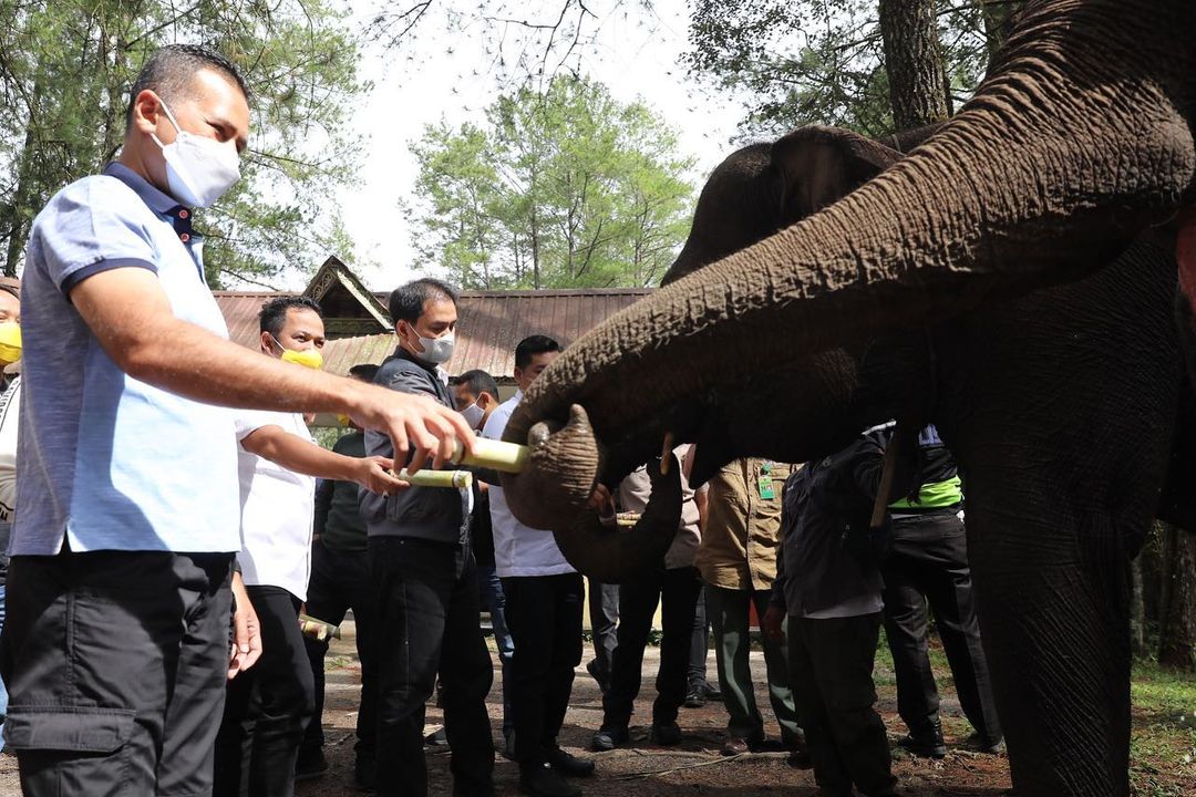 Ijeck Kenalkan Keindahan Aek Nauli kepada Anggota DPR RI