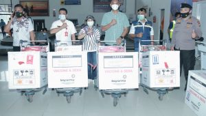 meliputi dokter, perawat, bidan dan seluruh tenaga pendukung kesehatan lainnya