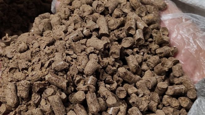 Perdana! 21 Ton Pakan Ternak Sapi Perah Sumut Tembus Pasar Korea Selatan