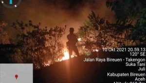 indiespot kebakaran hutan bireun aceh