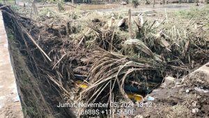 INDISEPOT Banjir Bandang Terjang Kabupaten Malang, Dua Warga Tewas
