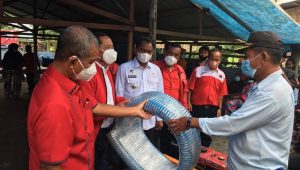 Dorong Kebangkitan Ekonomi, PDIP Sumut Bagikan Bibit Ikan Nila di Sergai