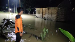 INDIESPOT Lahan Sawah 45 Ha Terdampak Banjir di Kabupaten Batu Bara