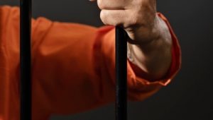 INDIESPOT Atlet MMA yang Bunuh Kakaknya Karena Bela Ibu, Divonis 2 Tahun Bui