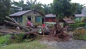 INDIESPOT Diterjang Angin Kencang, 48 Rumah di Langkat Rusak