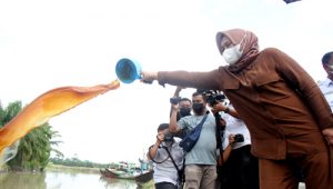 INDIESPOT Peringati Hari Lingkungan Hidup, Nawal Lubis dan Sri Ayu Mihari Tabur Benih Ikan di Sungai Belutu