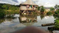INDIESPOT.ID Tanggul Jebol Sebabkan Satu Desa di Konawe Terendam Banjir