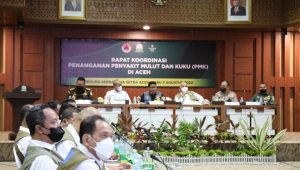INDIESPOT.ID Indonesia Mampu Kendalikan Wabah PMK Hewan Ternak