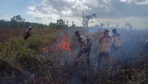 INDIESPOT.ID Sebanyak 7,5 Hektar Lahan di Kabupaten Sukamara Kebakaran