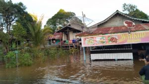 INDIESPOT.ID Banjir Rendam Lima Kecamatan di Kapuas Hulu