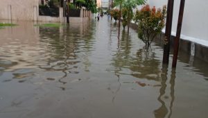 INDIESPOT.ID Kerap Kabanjiran, Warga Jalan Sehat Tagih Janji Lurah Sunggal Kecamatan Medan Sunggal