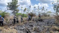 INDIESPOT.ID BPBD Pulang Pisau Berhasil Padamkan 4 Hektar Lahan Terbakar
