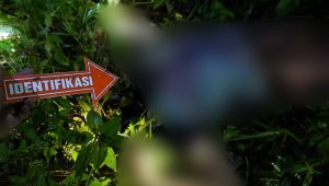 INDIESPOT.ID, Geger! Mayat Wanita Tanpa Kepala Ditemukan di Nias Selatan l, Diduga Korban Pembunuhan