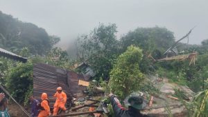 INDIESPOT.ID, 10 Orang Tewas Tertimbun Longsor di Natuna