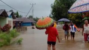 INDIESPOT.ID, Banjir Melanda Kabupaten Sula Sebanyak 50 Rumah Terendam