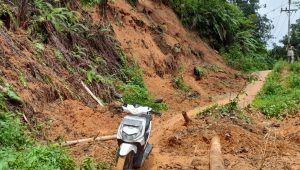 INDIESPOT.ID, Seorang Pemotor Meninggal Dunia Tertimpa Longsor di Kabupaten Tanah Datar