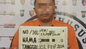 INDIESPOT.ID, Pria di Belawan Ditangkap Polisi Usai Cabuli Anak Tirinya Hingga Hamil