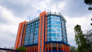 INDIESPOT.ID, Bank Sumut Jamin Agunan Ada dan Aman, Kasus Debitur di Aeknabara
