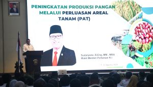 INDIESPOT.ID, Wamentan Sudaryono Targetkan 97.000 Hekatre Perluasan Areal Tanam Padi di Sumut
