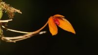 medium_IMG_5672_0fb5190a1e