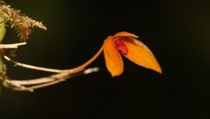 medium_IMG_5672_0fb5190a1e